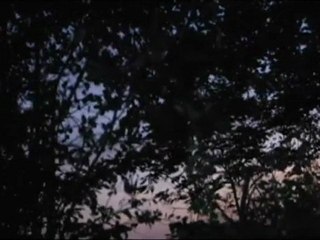 TV3 - Sampler d'amor - Laia Marull recita Anna Lacruz