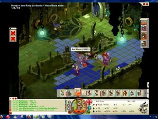 Dofus Rat Blanc De Bonta