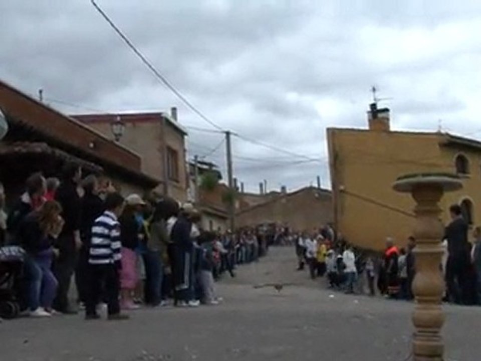 2011_05_14 vuelo rapaces