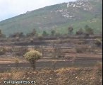Incendio de Zamora arrasa 1300 hectáreas