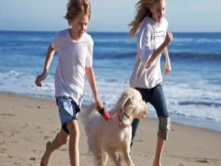 Dog Sitters in Texas