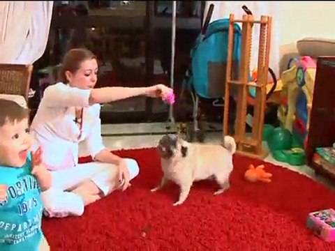 Vantagens da convivência entre cães e crianças