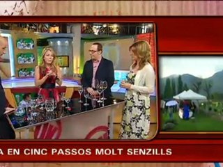 TV3 - Divendres - Com s'han de fer els brindis?