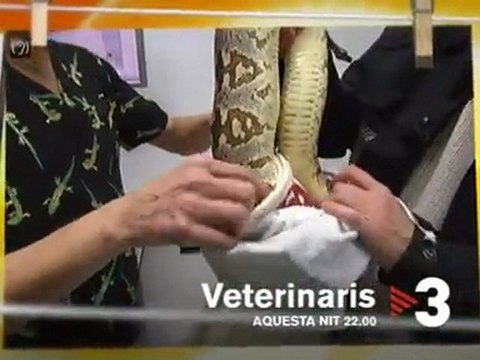 TV3 - Dijous, 22.00, a TV3 - Històries molt animals, a Veterinaris