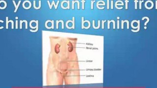 cystitis bladder infection - cystitis in pregnancy - how to treat cystitis