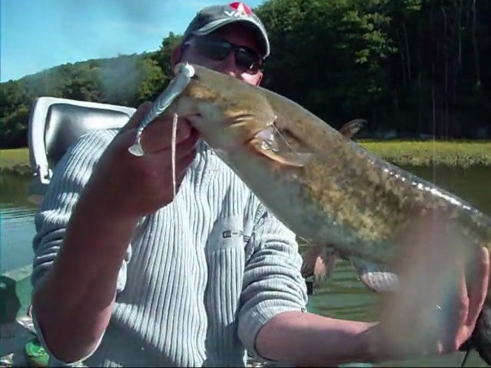 peche d'un petit silure a la verticale mrh1664