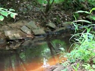 Nesting; the stress of moving house and home.