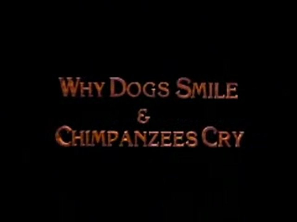 Why Dogs Smile and Chimpanzees Cry [1/2] - video Dailymotion