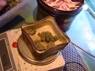 Dutch government tightens policy on soft drugs