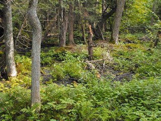 2010 Nature & Wildlife SlideShow