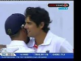 Cook and Trott pile up hundreds