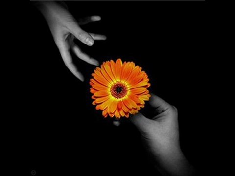 Ali Abbas ASLANTÜRK.....Ellerini çekip benden