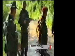 Ratko Mladic   le boucher des Balkans « Génocide de Srebrenica »