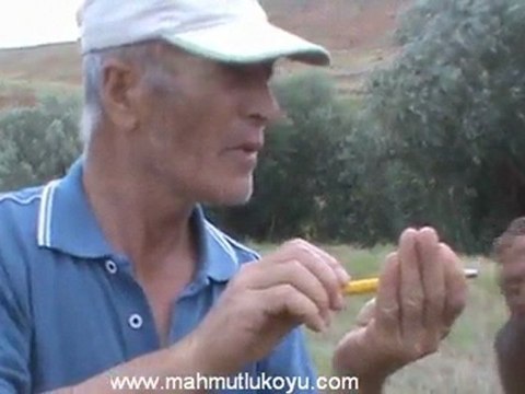 Cem Tural'in Ceviz agaclari icin su yolu yapimi - mahmutlu koyu yaz 2010