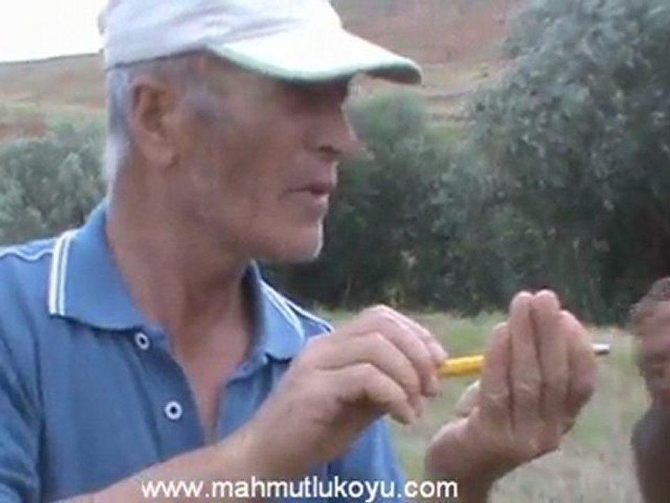 Cem Tural'in Ceviz agaclari icin su yolu yapimi - mahmutlu koyu yaz 2010