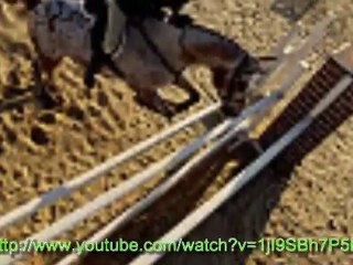 How often should a horse be massaged