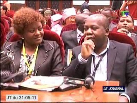 Poursuite des travaux des experts des 3 bassins forestiers tropicaux