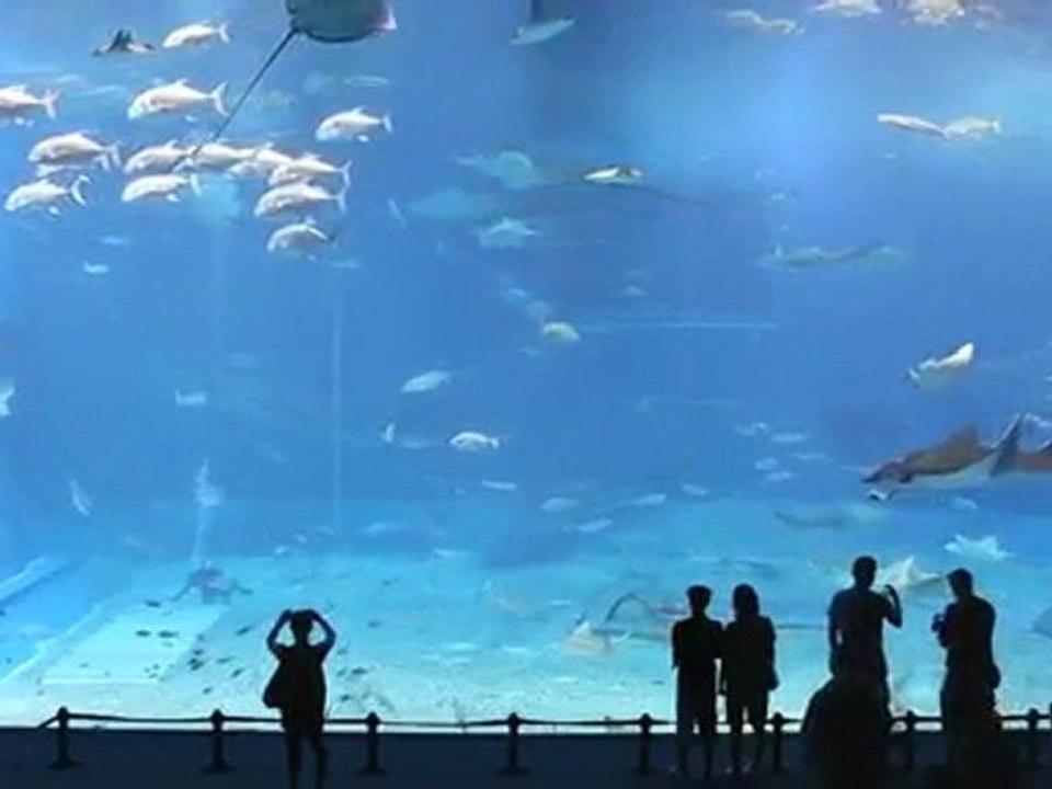 Kuroshio Sea