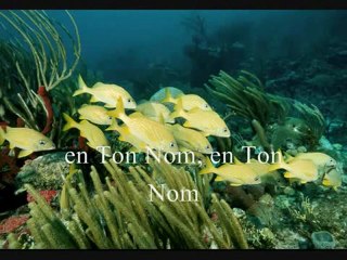 Je sais qui je suis
