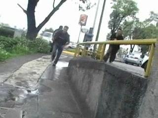 Previo Monos urbanos 3