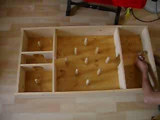 jeu de quilles en bois