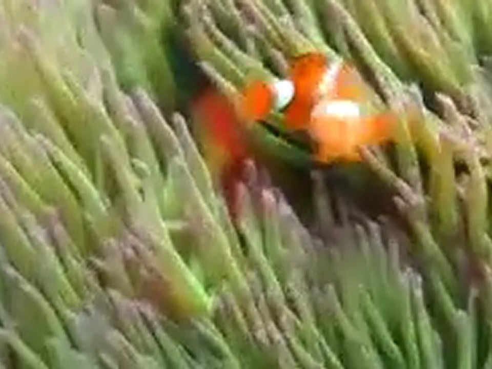 Educational Student Adventure Tours -Small World Journeys