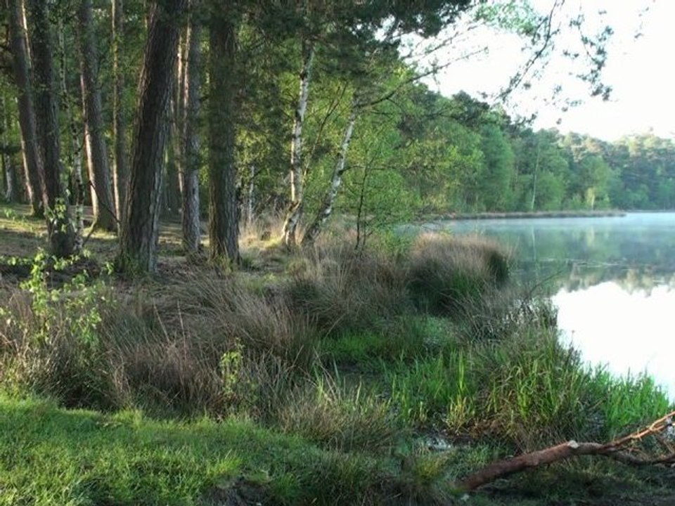 Coach antony video affirmation - understanding my purpose