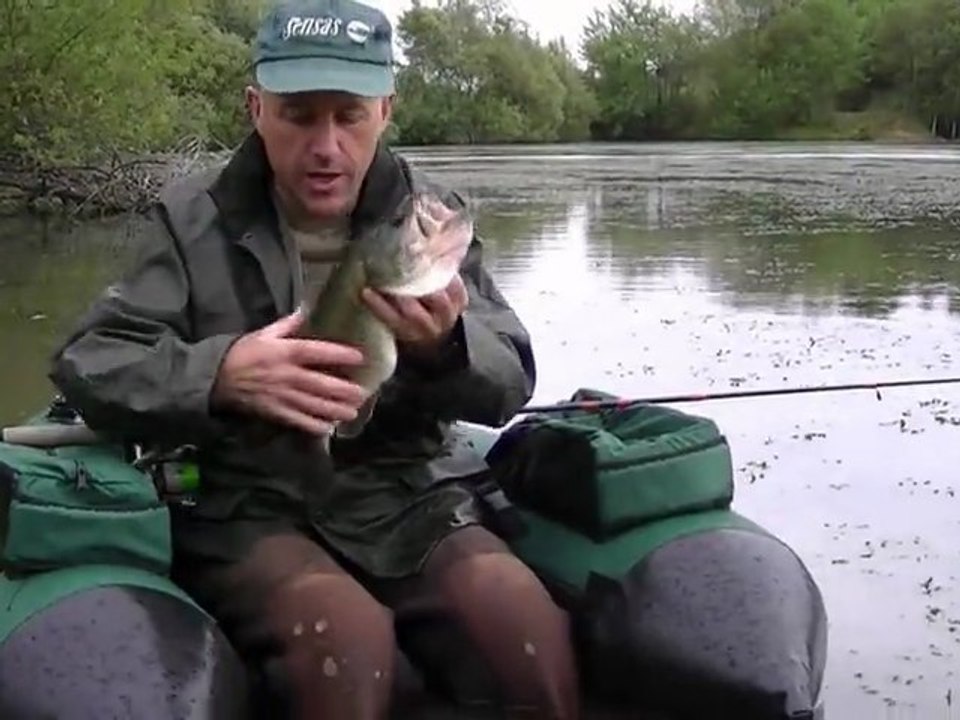 black bass