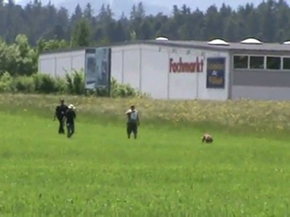 FCI-Quali-St-Georgen-Sammer/Greta-Fährte