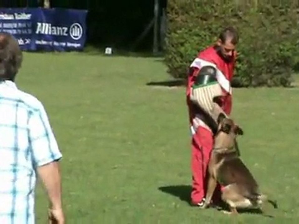 FCI-Quali-St-Georgen-Gruber/Apollon-Schutz