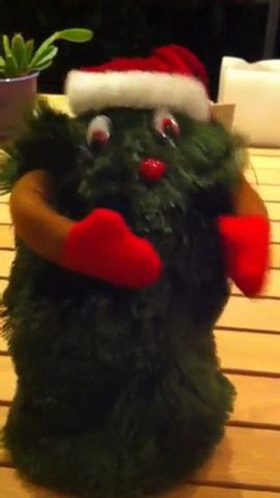 Merry Chiristmas