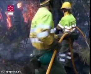 El viento provoca daños en Castellón