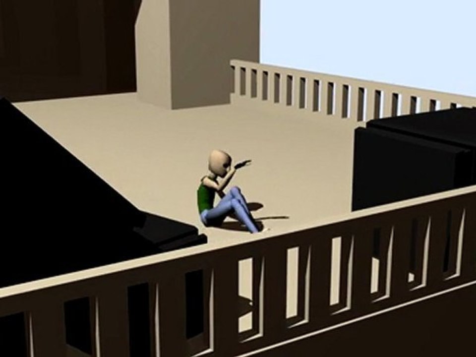 Examen animation Delphine Gueniffey final