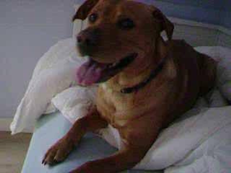 Bri Bri et Jones Part 2