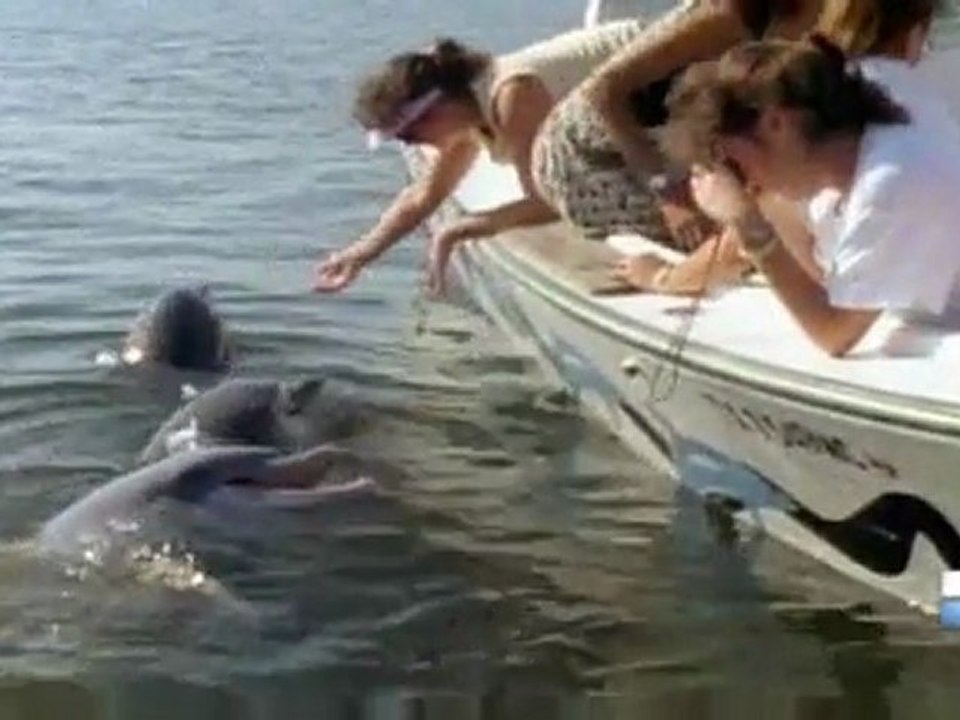 Bizarre ou quoi ? Episode 4 (1/3)