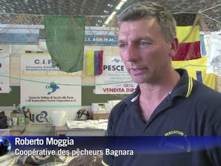 Italie : le "slow fish", la gastronomie sans piller la mer