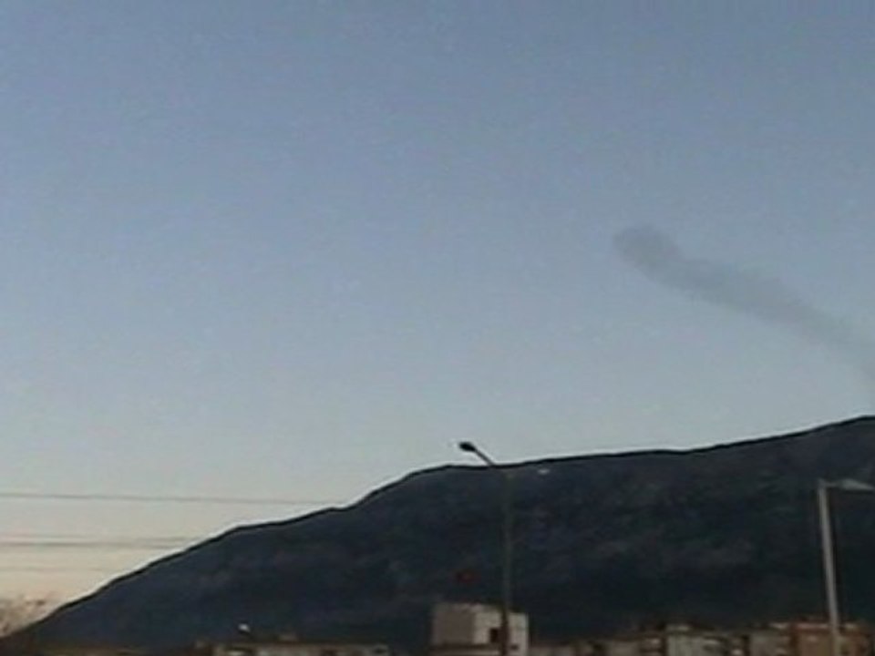 kuşlar 001