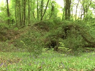 Au bord d'une mine d'uranium désaffectée, le sentier "miné"