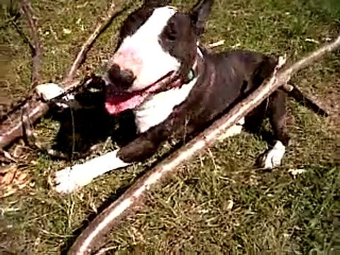 VID 00012-20110528-1545