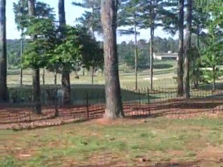 911 Gas Card Filled Up On Monday Still Rolling along in my 92 Honda Accord