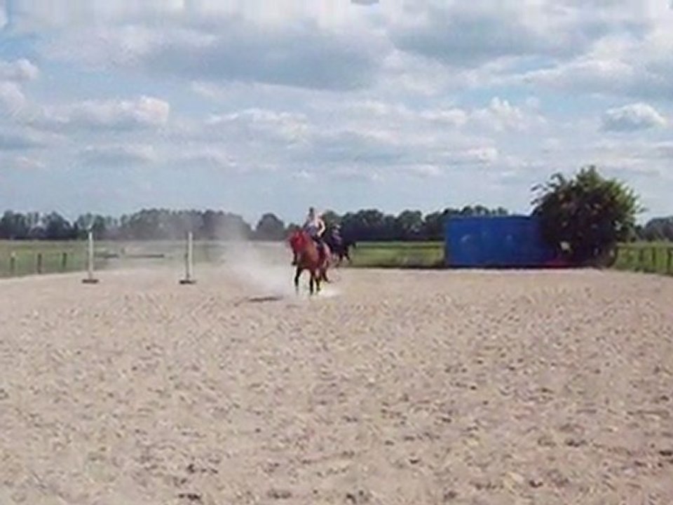 caro dressage 3