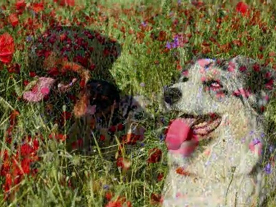 Eletta, Shaina & Derbie