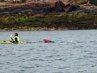 Tour de l'ÎLE de Bréhat ... Nage