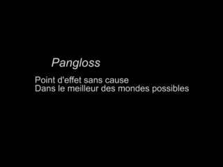 Hypothèse finaliste : l'effet « Pangloss » (Version Courte)
