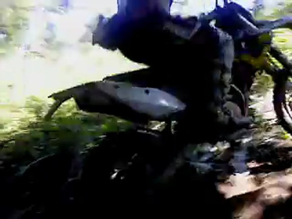 MOV00421