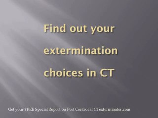 New Haven CT Exterminator