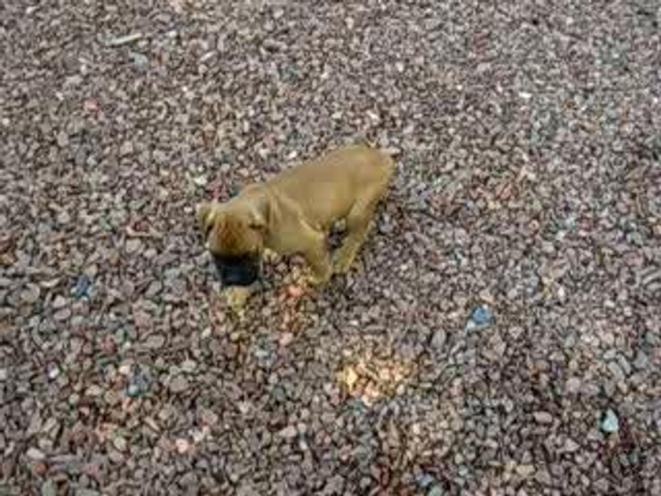 bébé 2 doigts blancs