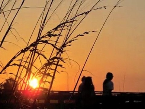 Enjoying the Sunset, Memorial Day Weekend - Orange Beach, AL