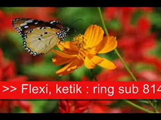 Dangdut RBT Terbaik 'A'