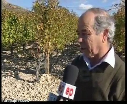 Las uvas de Nochevieja en Vinalpó